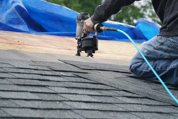 Best New Roof Installation  in Treasure Island, FL